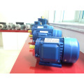 CHIMP Y2 series 0.55kW 1500rpm 380V 415V cast iron casing asynchronous electric motor